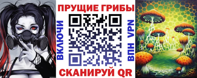 где можно купить   Абдулино  Галлюциногенные грибы Psilocybe 